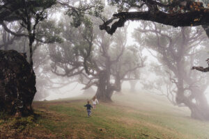 Kinder spielen im Nebel des Fanalwald auf Madeira – märchenhafte Lorbeerbäume im mystischen Wald, beliebtes Ziel für Familienurlaub, Madeira Naturreise und Wanderurlaub auf der Atlantikinsel